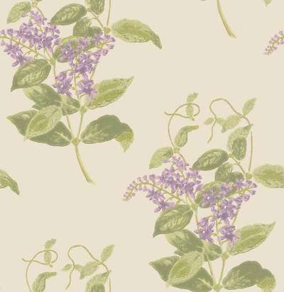 Cole&Son Archive Anthology 100/12056