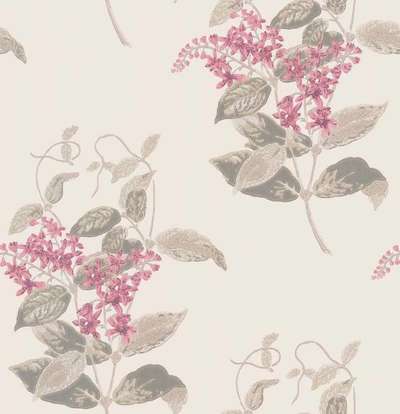 Cole&Son Archive Anthology 100/12058