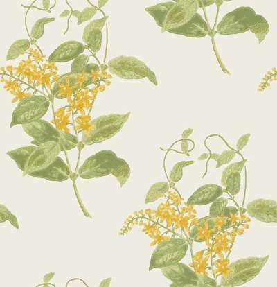Cole&Son Archive Anthology 100/12059
