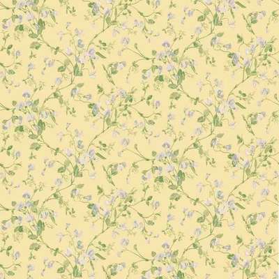 Cole&Son Archive Anthology 100/6029
