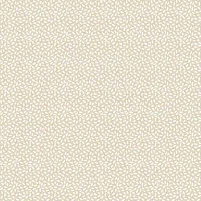 Cristiana Masi Mondo Baby 13026