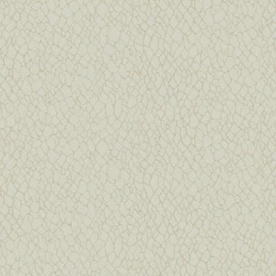 Galerie Boutique DWP0232-01