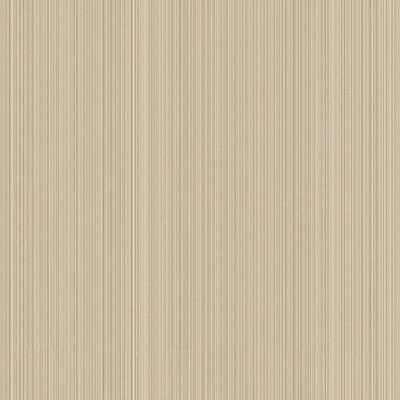 Galerie Boutique SP-NA6002