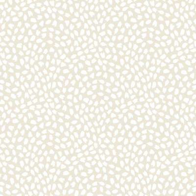 KT Exclusive Mod Chic HC81101