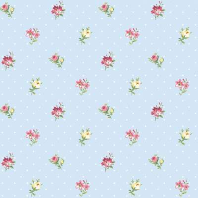 KT Exclusive Mod Chic HC81811