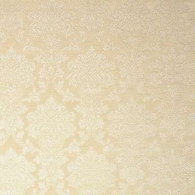 KT Exclusive Caesar KTE06008