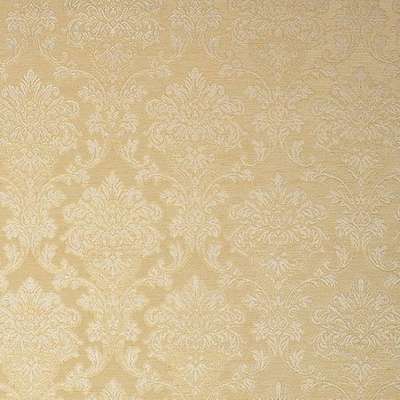 KT Exclusive Caesar KTE06012