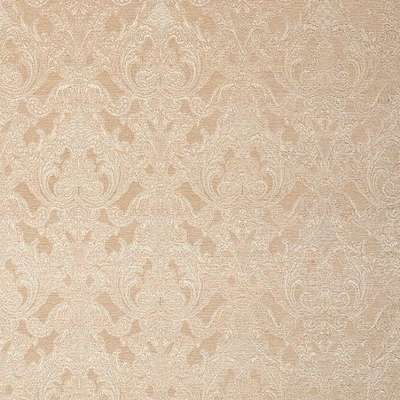 KT Exclusive Caesar KTE06014