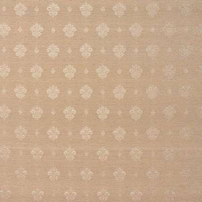 KT Exclusive Caesar KTE06015