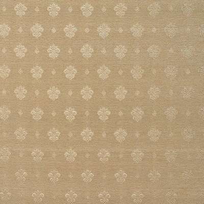 KT Exclusive Caesar KTE06019