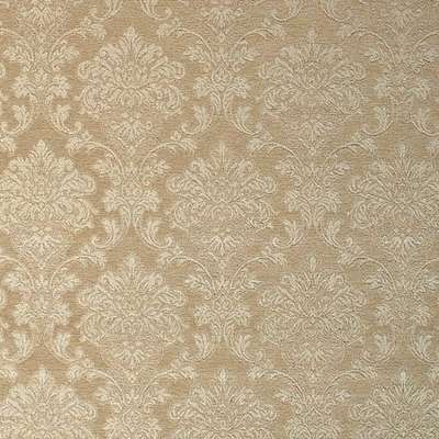 KT Exclusive Caesar KTE06020