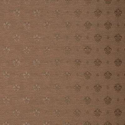 KT Exclusive Caesar KTE06027