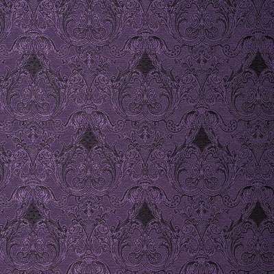 KT Exclusive Caesar KTE06031