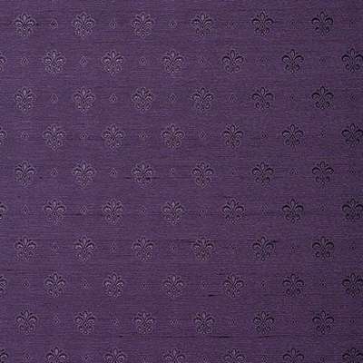 KT Exclusive Caesar KTE06033