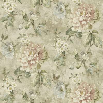 KT Exclusive Renaissance rn61006