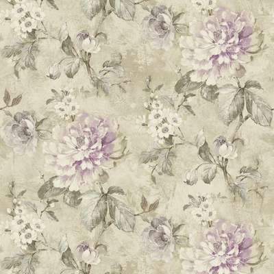 KT Exclusive Renaissance rn61009