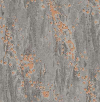 KT Exclusive Canvas OT71401