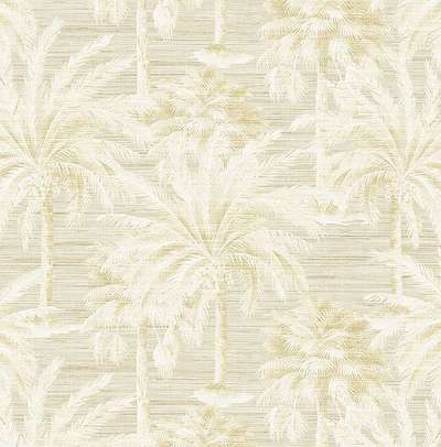KT Exclusive Palm Springs ps40003