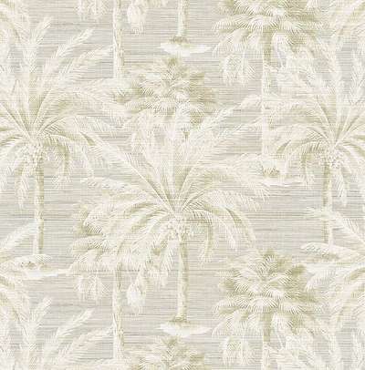 KT Exclusive Palm Springs ps40005
