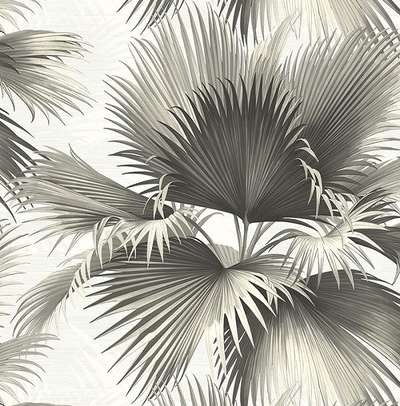 KT Exclusive Palm Springs ps40100