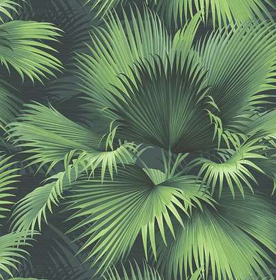 KT Exclusive Palm Springs ps40104