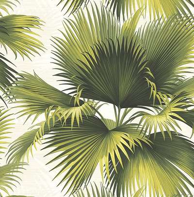 KT Exclusive Palm Springs ps40114