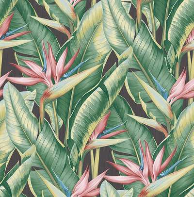 KT Exclusive Palm Springs ps40201
