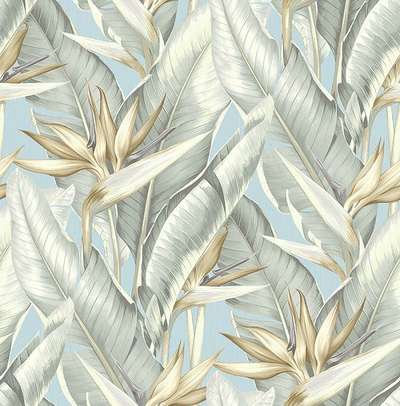 KT Exclusive Palm Springs ps40202