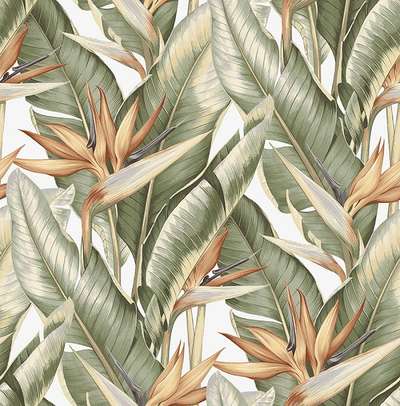 KT Exclusive Palm Springs ps40204