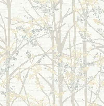 KT Exclusive Sage 2 SG40008