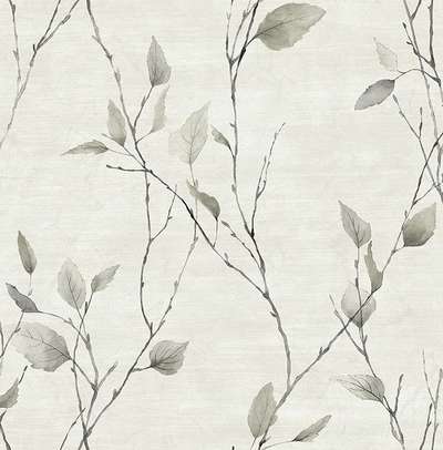 KT Exclusive Sage 2 SG40200