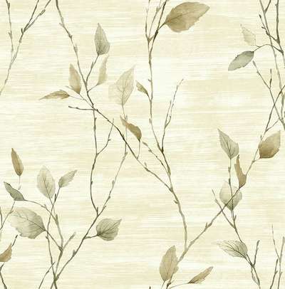 KT Exclusive Sage 2 SG40204