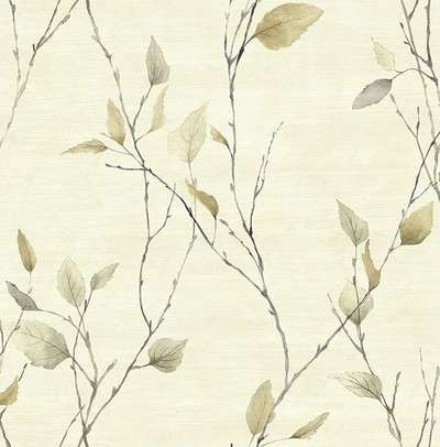 KT Exclusive Sage 2 SG40206