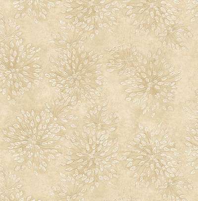 KT Exclusive Sage 2 SG40501