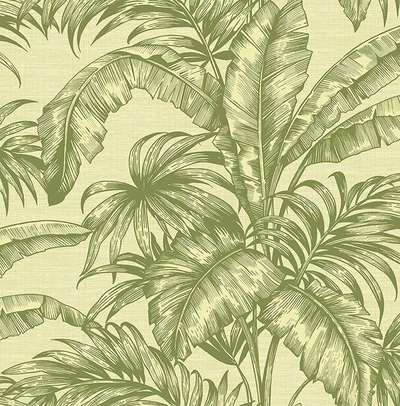 KT Exclusive Sage 2 SG41404