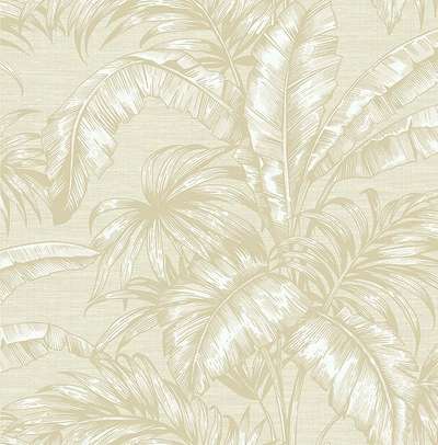 KT Exclusive Sage 2 SG41405