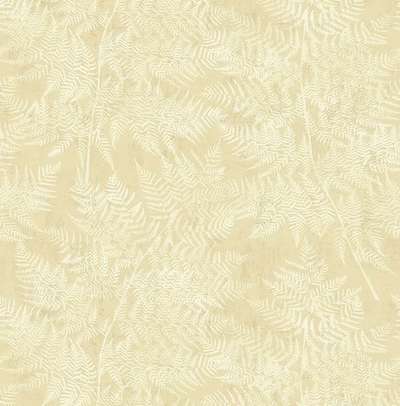 KT Exclusive Sage 2 SG41605