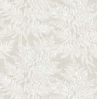 KT Exclusive Sage 2 SG41608
