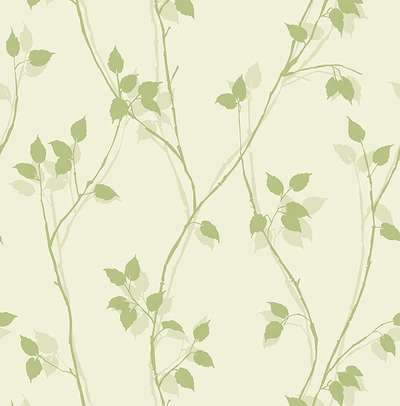 KT Exclusive Simplicity SY40024