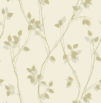 KT Exclusive Simplicity SY40033