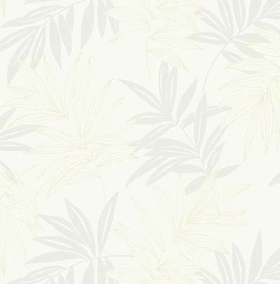 KT Exclusive Simplicity SY40500