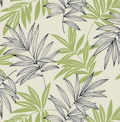 KT Exclusive Simplicity SY40504
