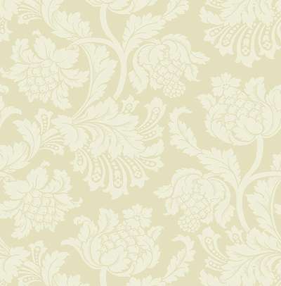 KT Exclusive Simplicity SY41315