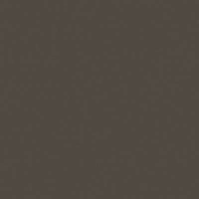 Loymina Equator QTR8 022