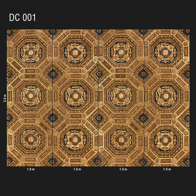 Loymina Illusion DC 001