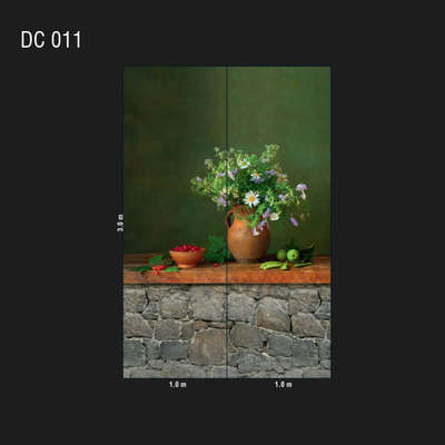 Loymina Illusion DC 011