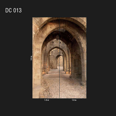 Loymina Illusion DC 013