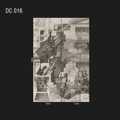 Loymina Illusion DC 016