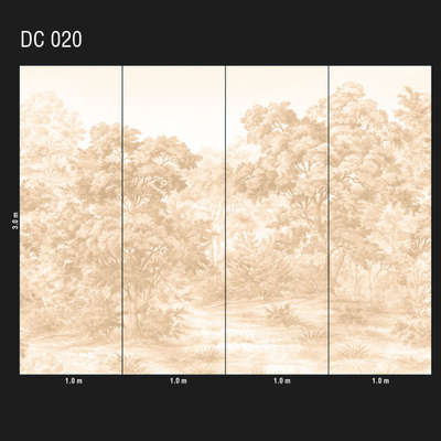 Loymina Illusion DC 020