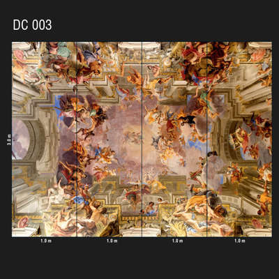 Loymina Illusion DC 003